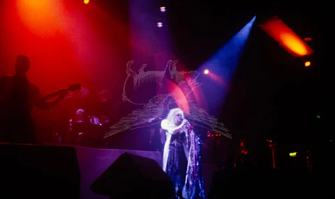 Stevie Nicks live at Wembley Arena 1990 (1 of 7 images)
